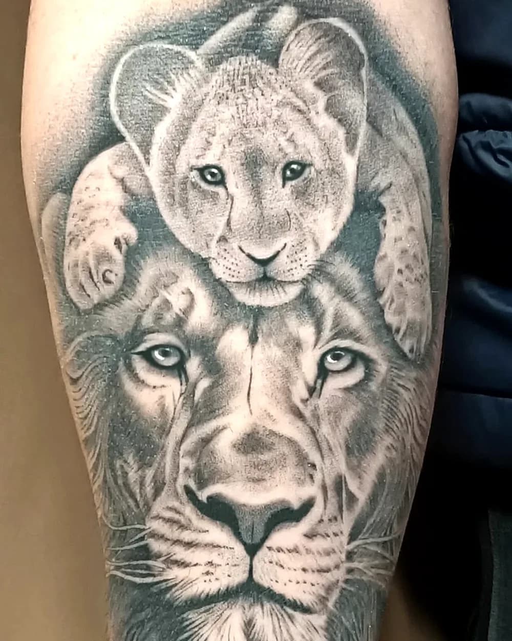 Tatouage réaliste d'une lionne et son lionceau, noir et gris, ProSkin-R Cahors
